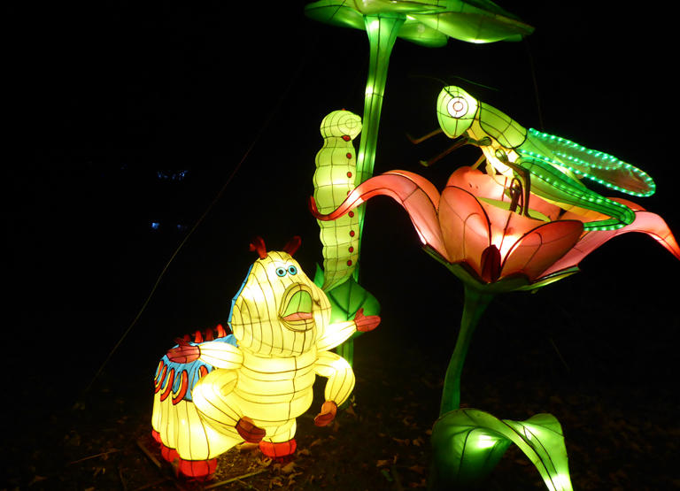 magic lantern festival